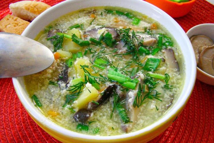 Salted Milk Mushroom Soup