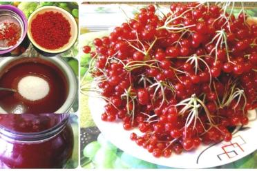 No-Cook Viburnum Sugar Blend