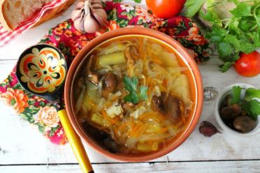 Hearty Mushroom and Fresh Cabbage Soup