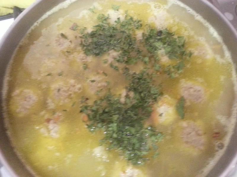 Chicken and Lentil Soup