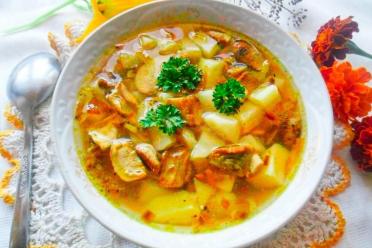 Hearty Frozen Porcini Mushroom Soup for Cold Days