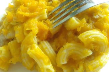Chicken Pumpkin Pasta Delight