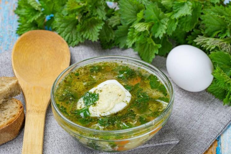 Chicken Vegetable Nettle Soup