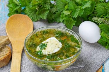 Chicken Vegetable Nettle Soup