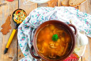 Fresh Honey Mushroom Soup: Quick, Tasty, and Healthy