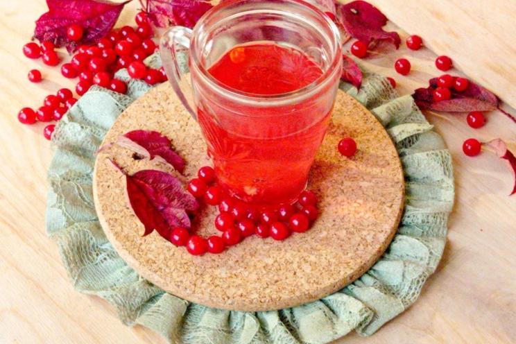 Healing Viburnum Berry Tea