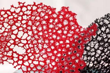 Edible Lace: Budget-Friendly Cake and Snack Decor