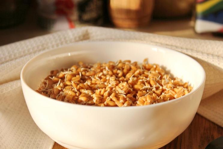 Simple Guide to Health-Boosting Wheat Sprouts