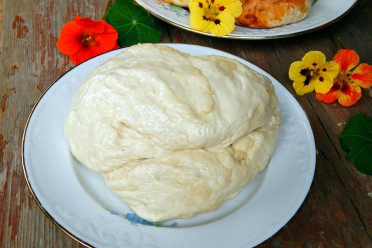 Tender, Delicious Bun Dough Recipe Tender, Delicious Bun Dough Recipe