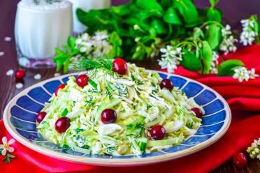 Quick & Tasty Cabbage-Cucumber Salad with Special Dressing