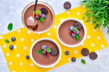 Chocolatey Cocoa Gelatin Delight