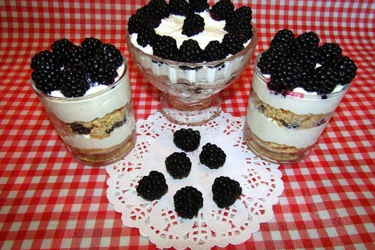 Easy Blackberry Cottage Cheese Dessert Easy Blackberry Cottage Cheese Dessert