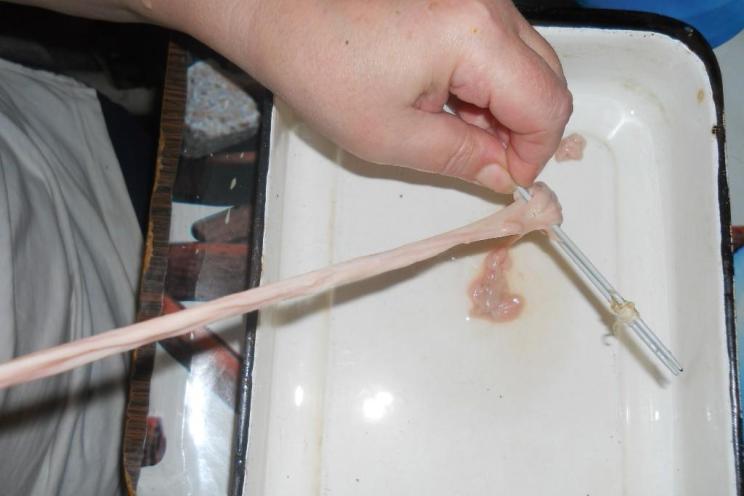 Easy Steps to Clean Sausage Casings