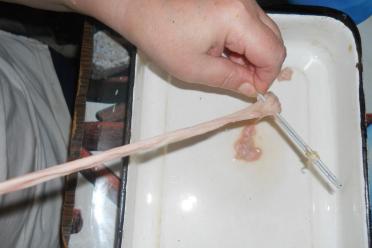 Easy Steps to Clean Sausage Casings