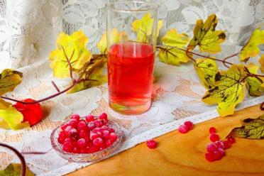Refreshing Frozen Lingonberry Juice