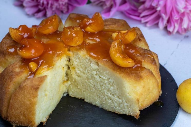 Apricot Milk Manna Pie Apricot Milk Manna Pie