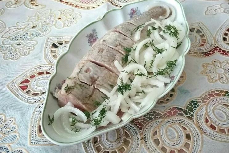 Homemade Lightly Salted Herring Recipe
