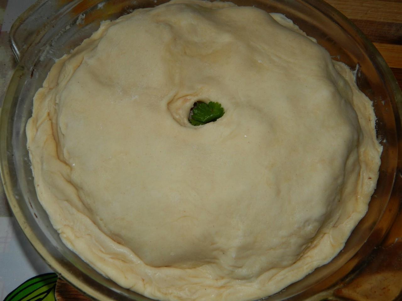 Step 14 Step 14