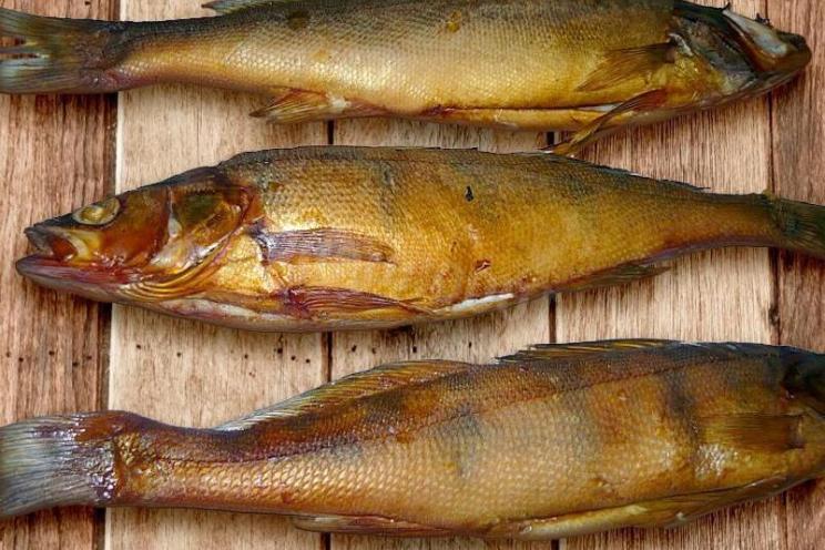 Simple, Healthy Home-Smoked Pike Perch Simple, Healthy Home-Smoked Pike Perch