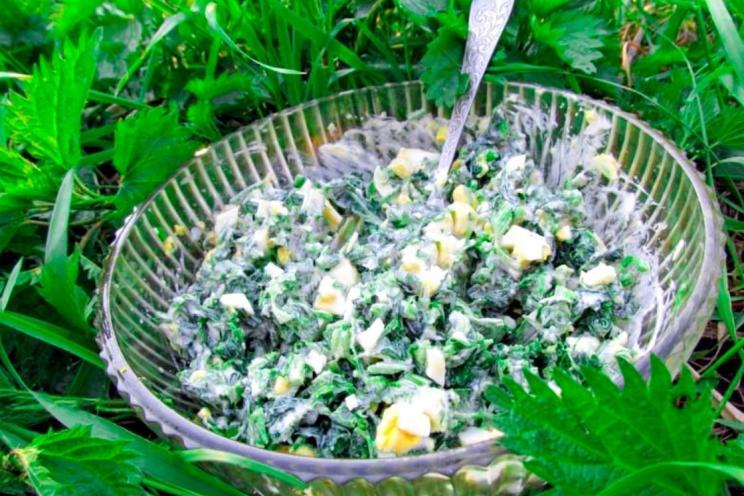 Quick and Healthy Nettle Egg Salad Quick and Healthy Nettle Egg Salad