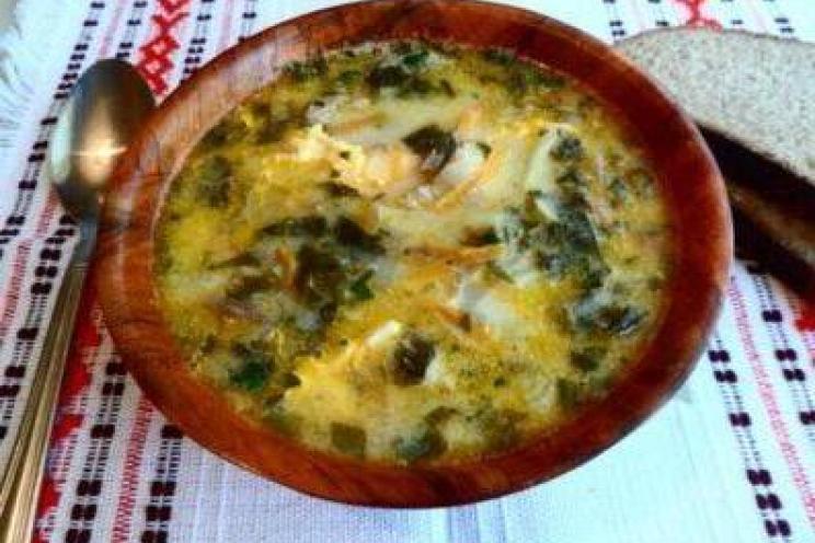 Cheese & Sorrel Delight Soup