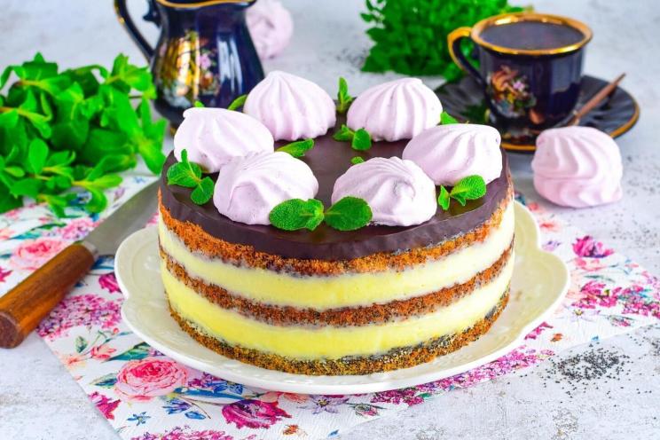 Delicious Poppy Seed Cake with Custard and Chocolate Delicious Poppy Seed Cake with Custard and Chocolate