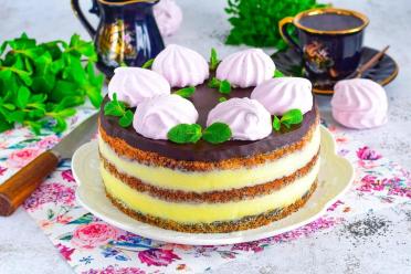 Delicious Poppy Seed Cake with Custard and Chocolate