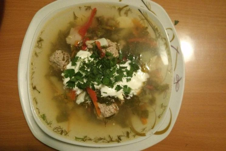 Healthy Sorrel Turkey Soup