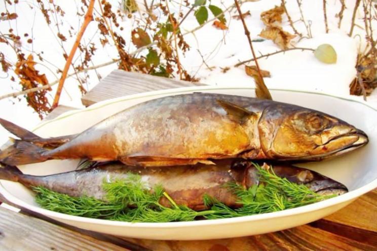 Homemade Hot Smoked Mackerel Recipe