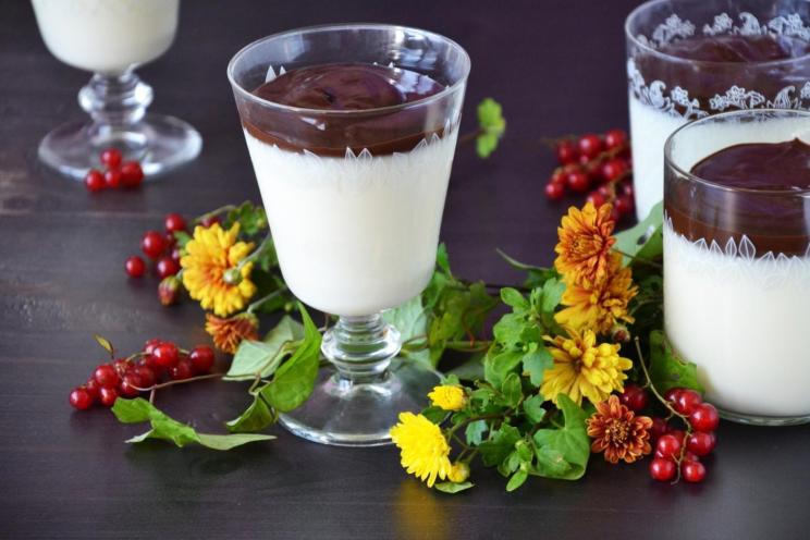Chocolate-Glazed Yogurt Cream Jelly Dessert