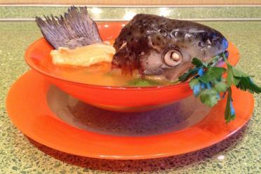 Trout Head Potato Fish Soup