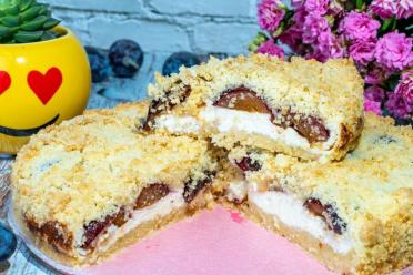 Plum and Cottage Cheese Shortbread Pie