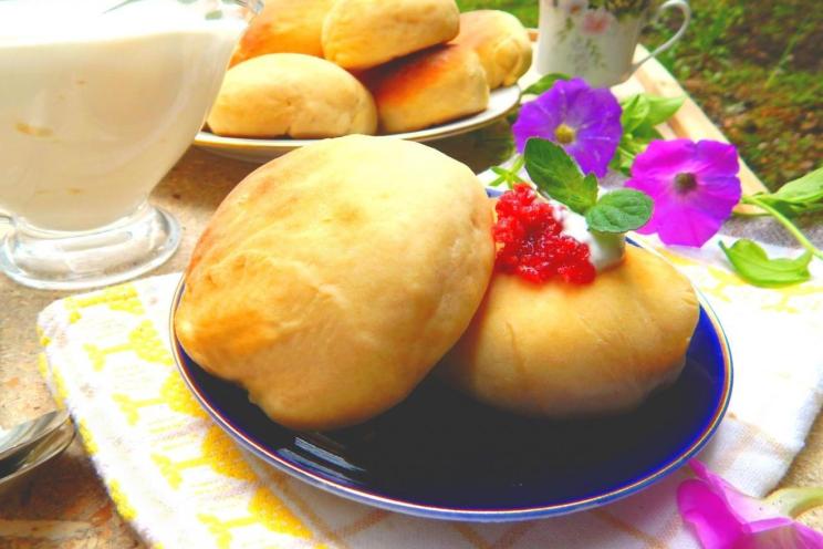 Yeast-Raised Milk Donuts Yeast-Raised Milk Donuts