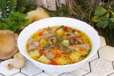 Hearty Oyster Mushroom Soup for All Ages