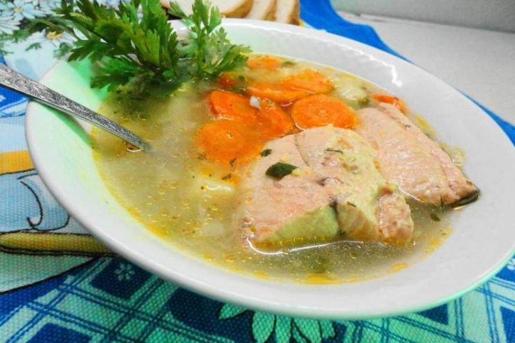 Chum Salmon Fish Soup Chum Salmon Fish Soup
