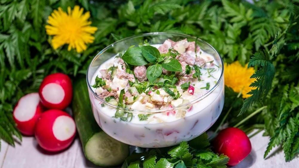 Radish and Cucumber Okroshka on Kefir