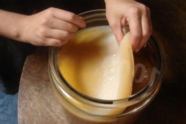 Kombucha: Energizing Infusion and Growing Tips