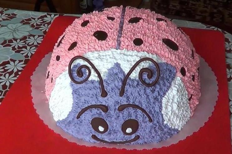 Ladybug Delight Cake