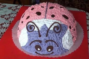 Ladybug Delight Cake
