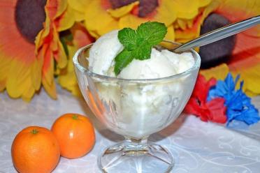 Creamy Caramel Delight: Homemade Creme Brulee Ice Cream