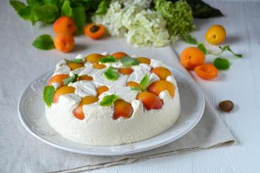 No-Bake Apricot Mousse Cake