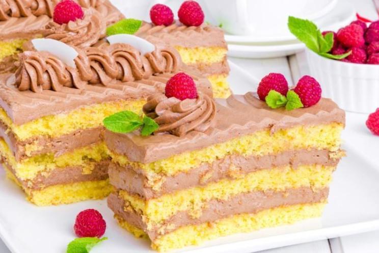 Chocolate Coconut Sponge Cake Delight