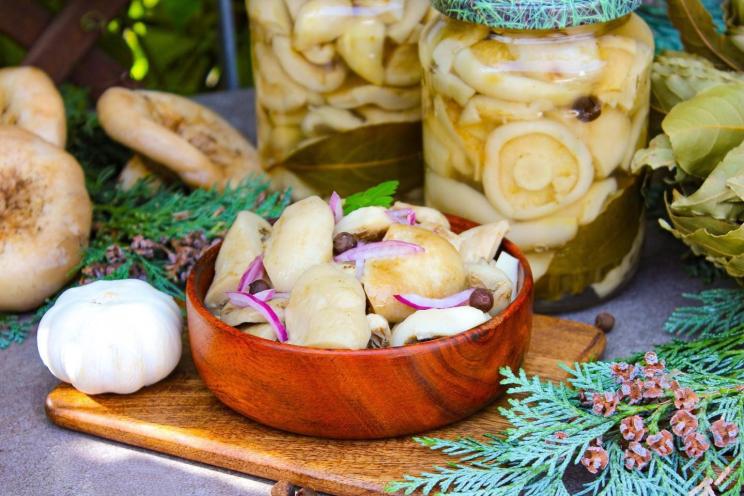 Marinated Milk Mushrooms in Jars: A Crispy Treat