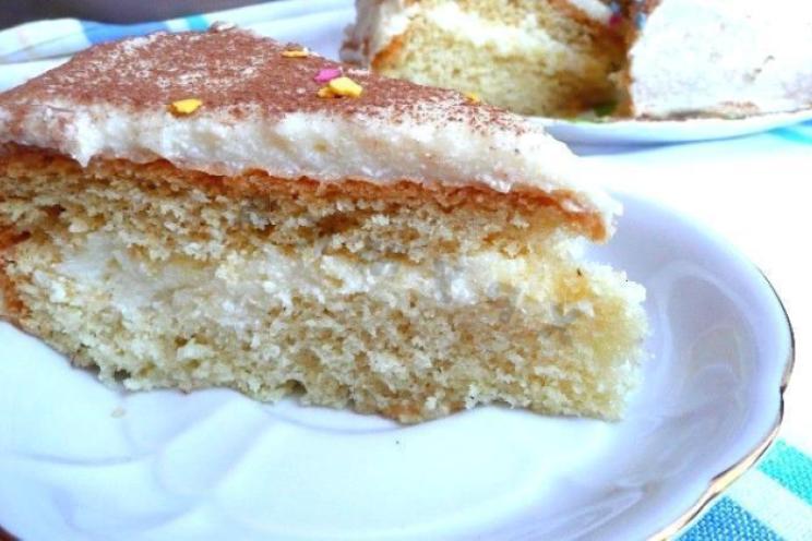 Two-Layer Sponge Cake with Custard Delight