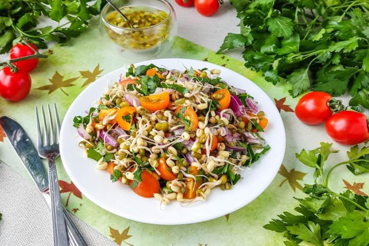 Fresh & Zesty Sprouted Mung Bean Salad