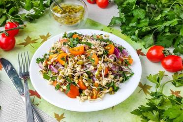 Fresh & Zesty Sprouted Mung Bean Salad