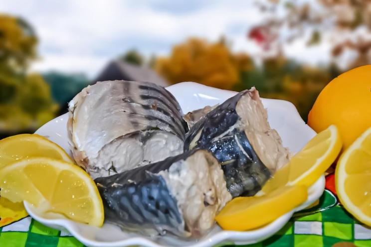 Quick and Delicious Boiled Mackerel in 10 Minutes