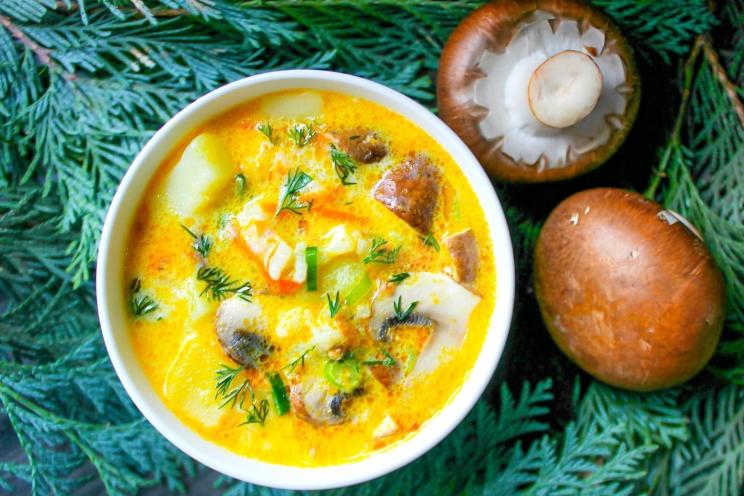Creamy Cheese and Mushroom Soup