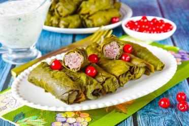 Savory Armenian Dolma Rolls
