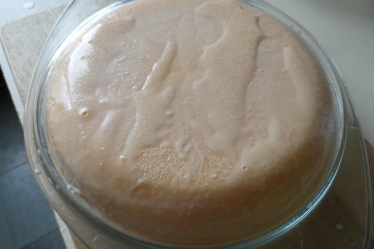 Homemade Tangerine Sherbet Homemade Tangerine Sherbet